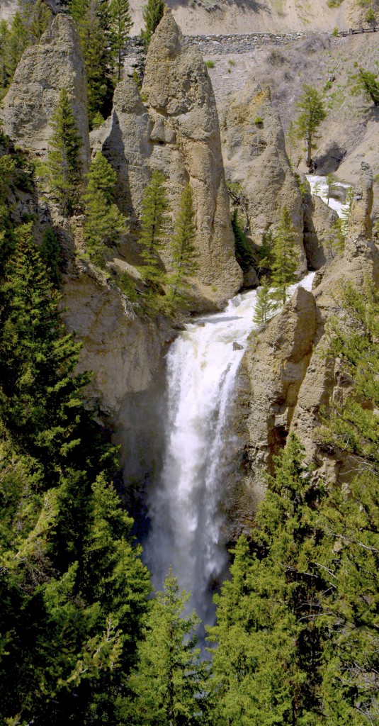 Waterfall, YNP