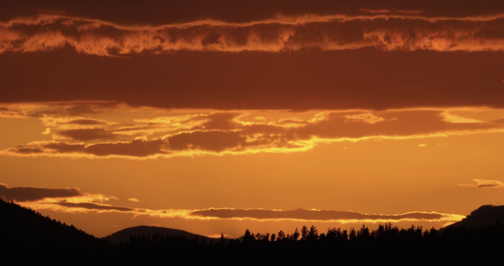 After sunset, YNP