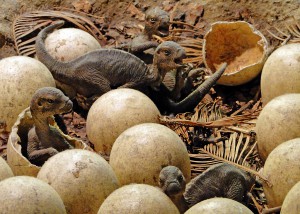 Maiasaura Nest