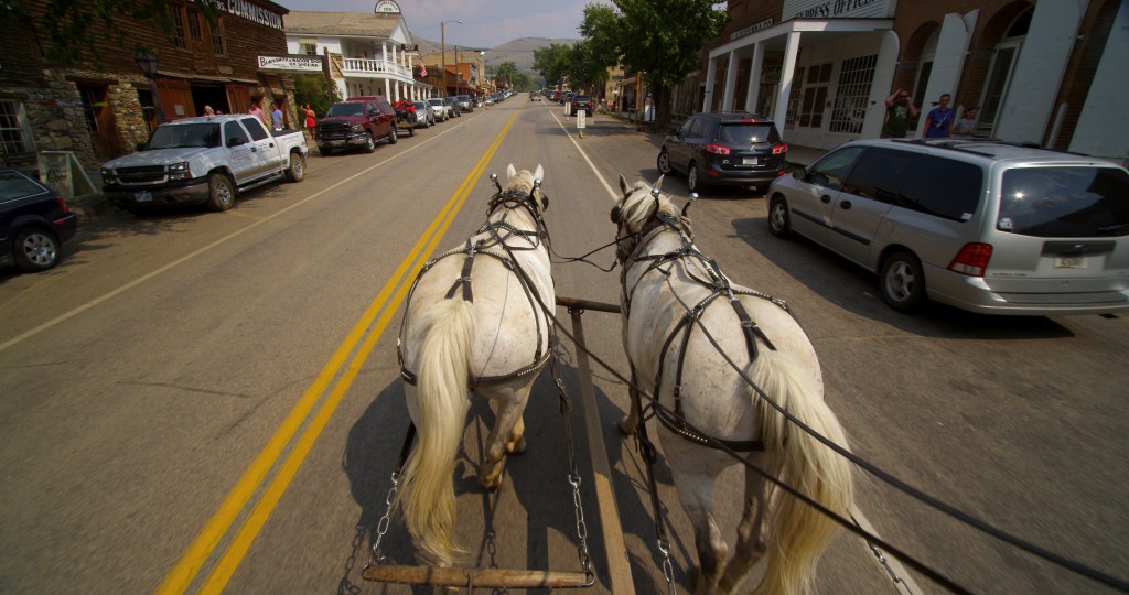 Horses on a highway