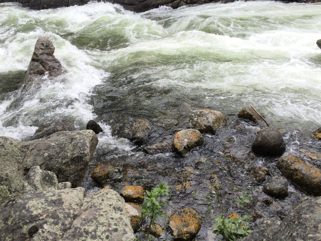 Swirling Water