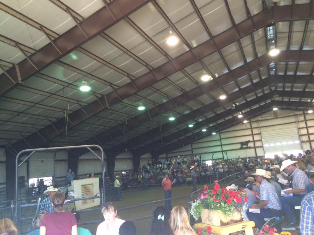 4-H Auction