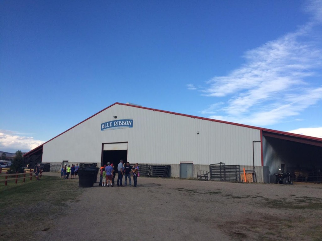 Blue Ribbon Barn